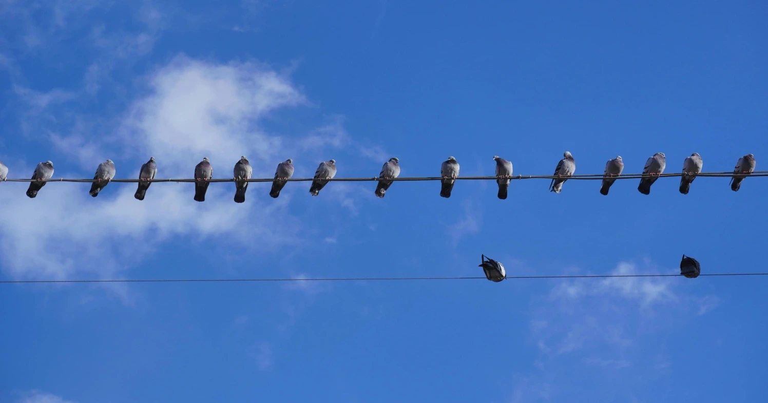 HEP, glavni energetski sustav Hrvatske bilježi pad prihoda: Država intervenirala s 423 mil. eura