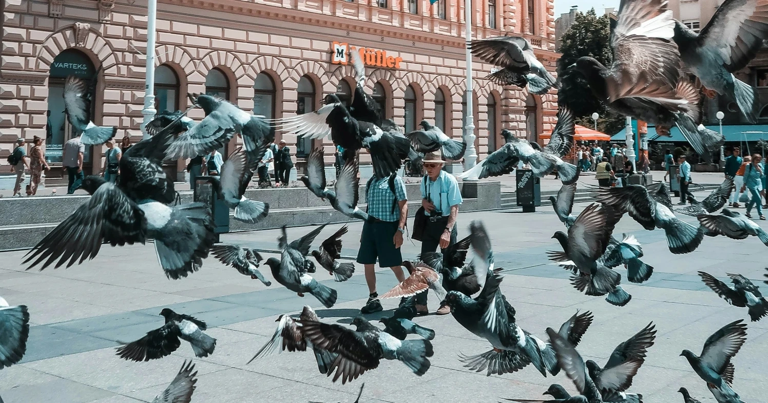 Hrvatska među najstarijim populacijama u Europi: Prosječna dob 2021. porasla na 44,3 godine