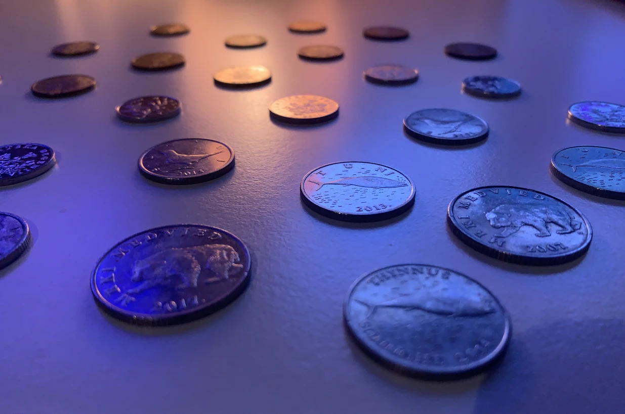 Kovanice hrvatske kune mogu se zamijeniti u HNB-u najkasnije do 31. prosinca 2025. godine