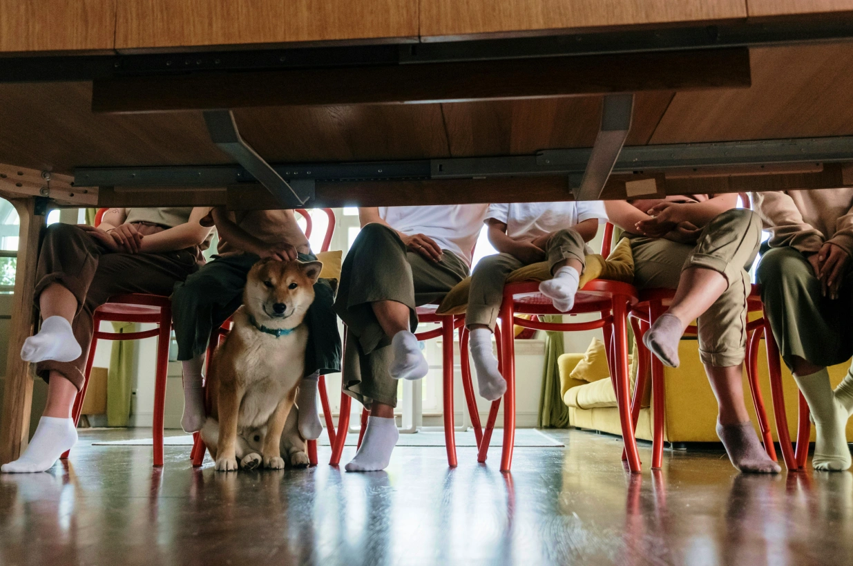 Hrvatska među 5 najgorih u EU: Trećina građana u prenapučenim kućanstvima