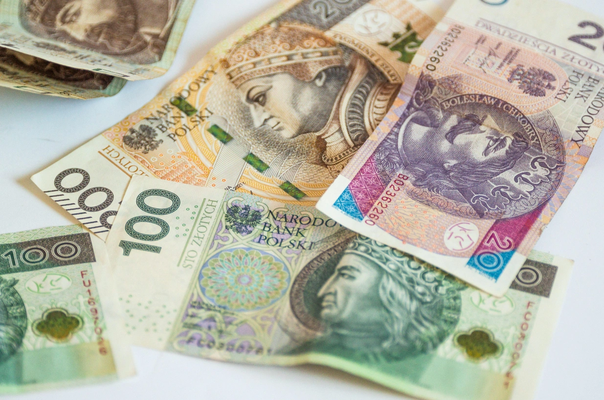 Istraživanje: Čak 74 posto Poljaka protivi se uvođenju eura